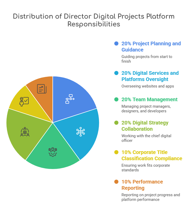 director of digital projects platform - Main Responsibilities and Job Functions - visual selection